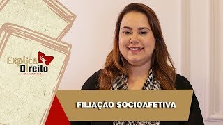 Explica Direito Filiação Socioafetiva  2019 [upl. by Edita726]