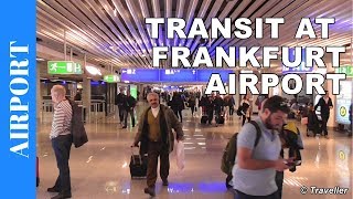 TRANSIT WALK AT FRANKFURT Airport FRA Terminal 1  Connection Flight Transfer Arriving amp Departing [upl. by Dloraj]